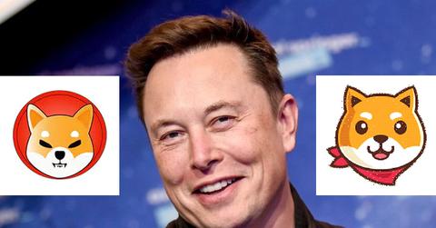 Elon Musk and Doge Meme coins