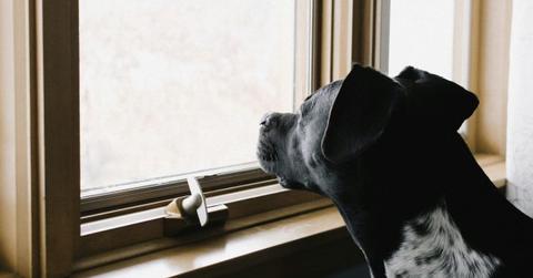 pn//uploads/fcef fde ee b dcacf__