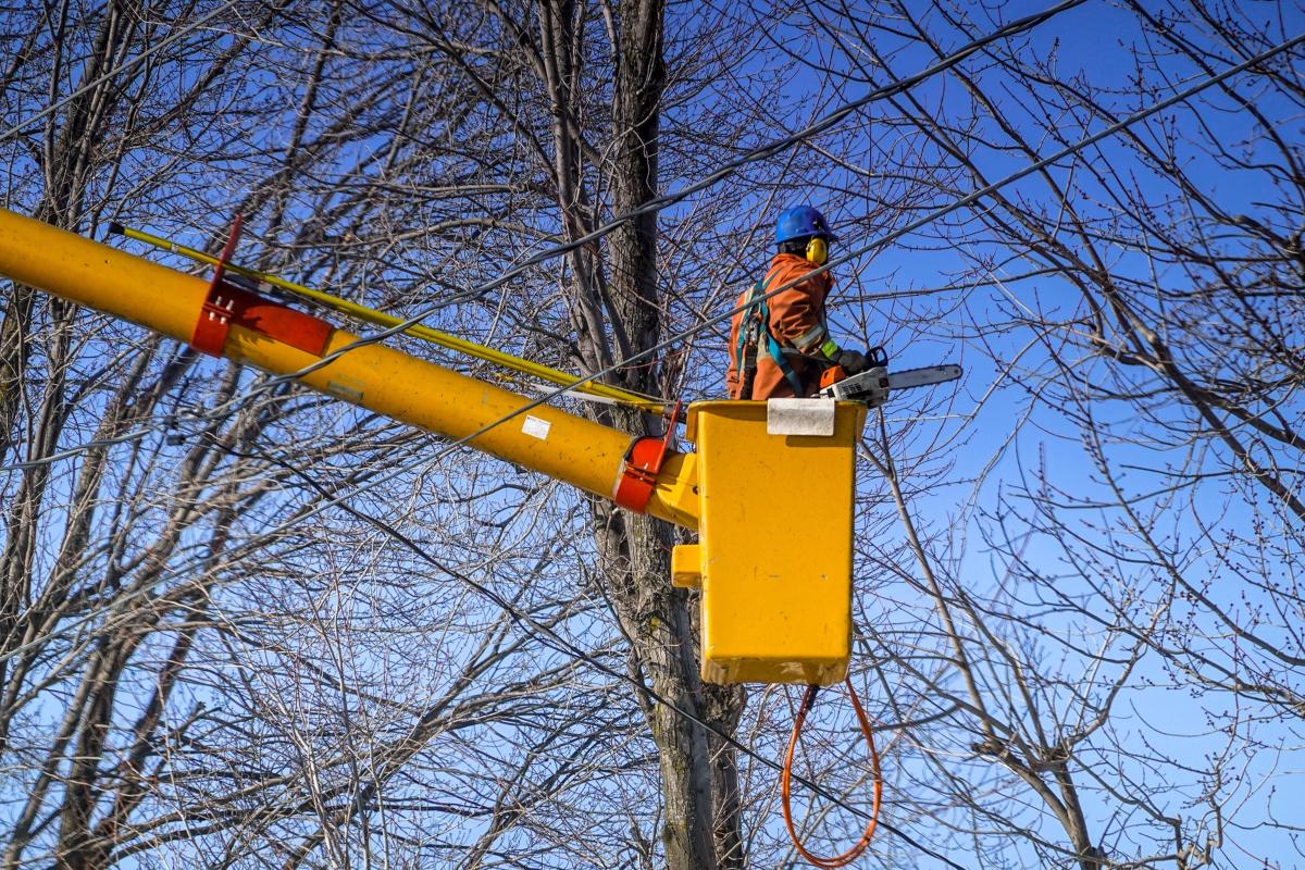 Who Owns Asplundh Tree Service, and Does It Have Stock?