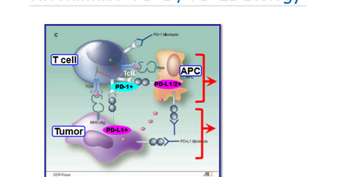 uploads///PD class action