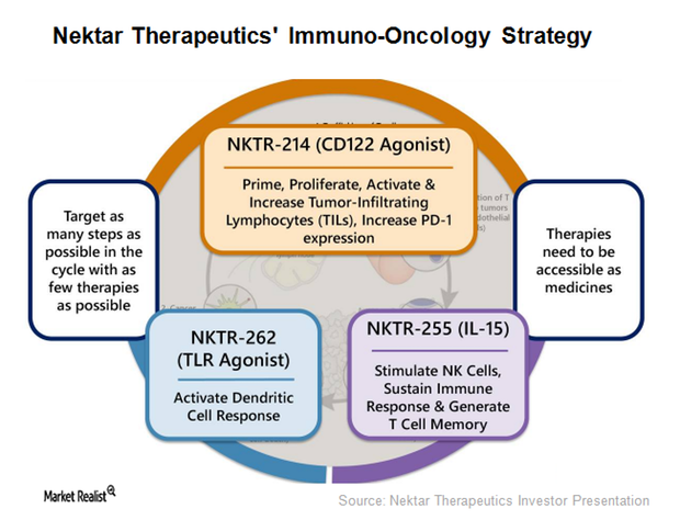 uploads///Nektar Immuno Oncology Strategy