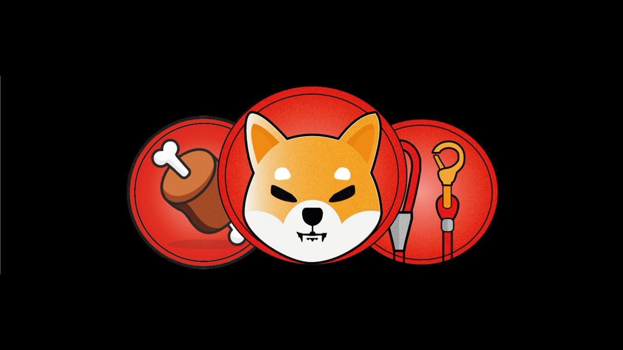 shiba inu coin outlook