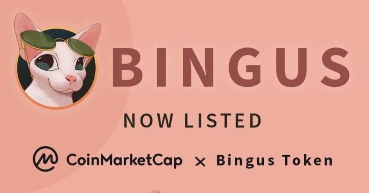 bingus crypto