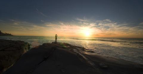 uploads///cannabis stocks future