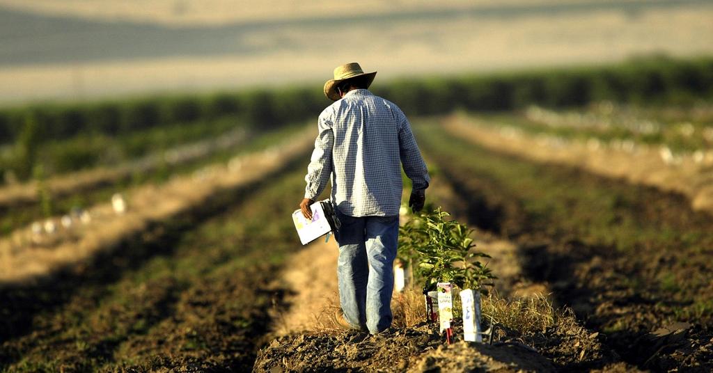 David Gladstone Grew His Net Worth Through Investing in Agriculture