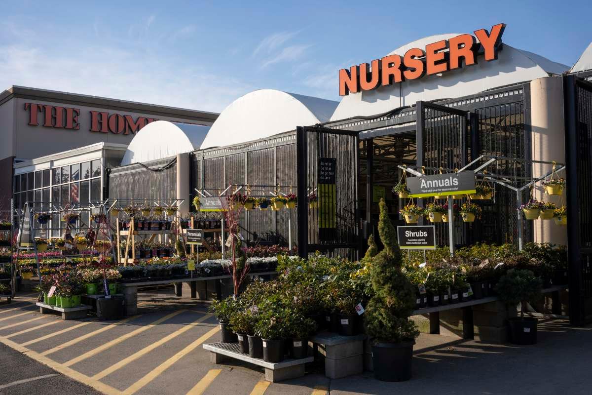 pn/bfa  dab d ffbebd