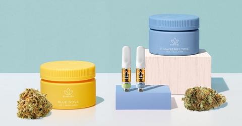 Sundial Growers products