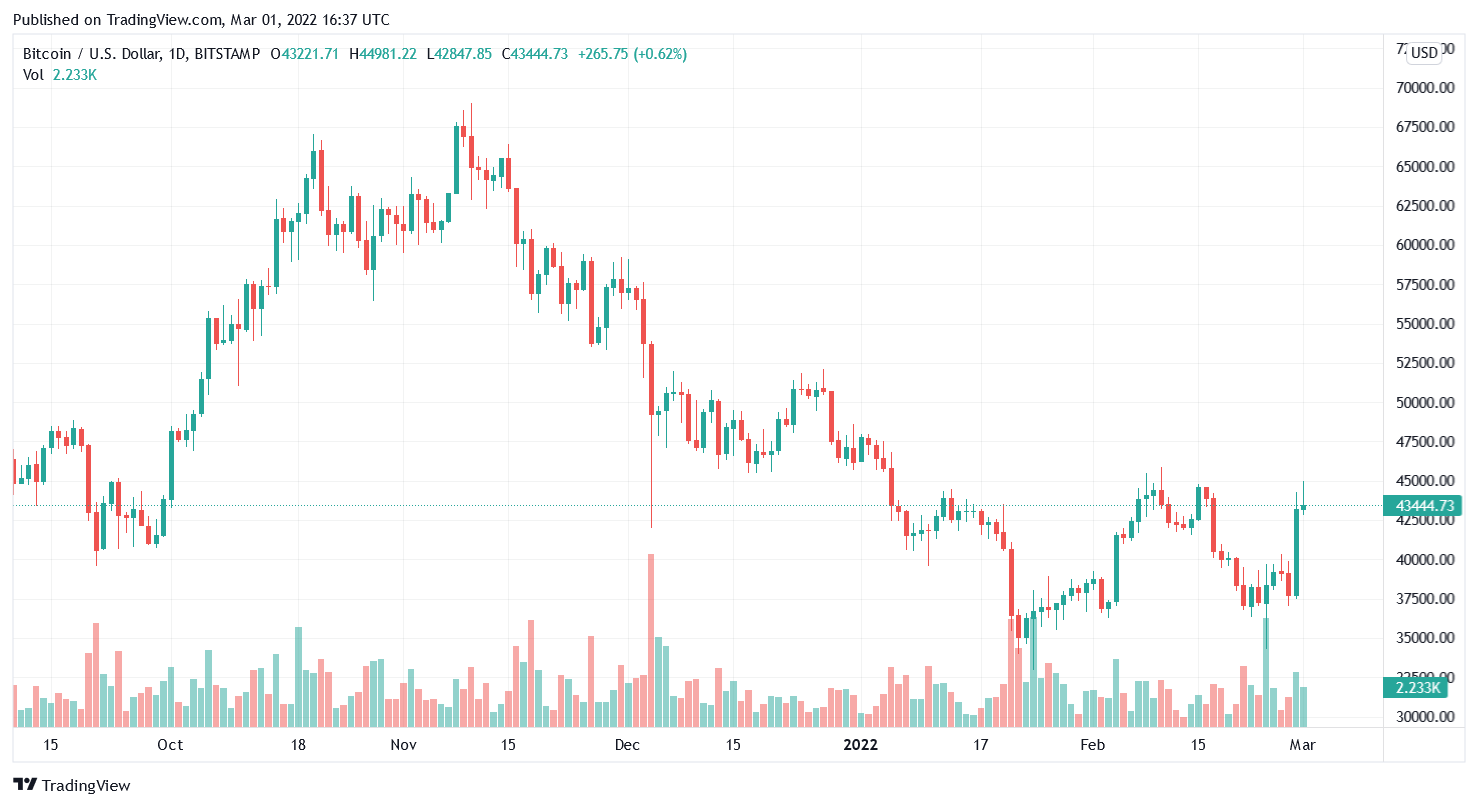 why are cryptos going up