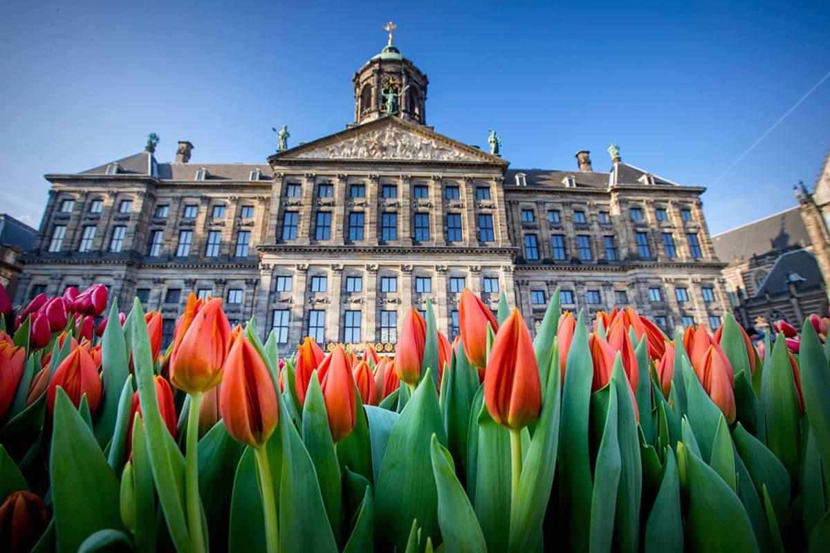 pn/fd fcdf  acb daccc