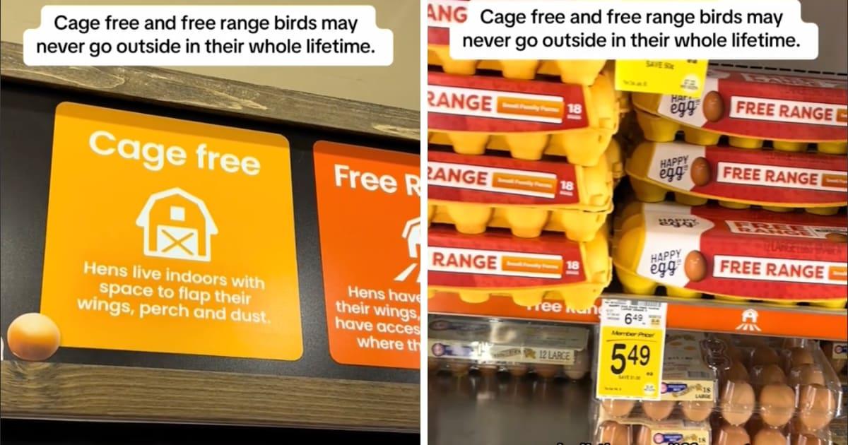 pn/aff df b afe bfda