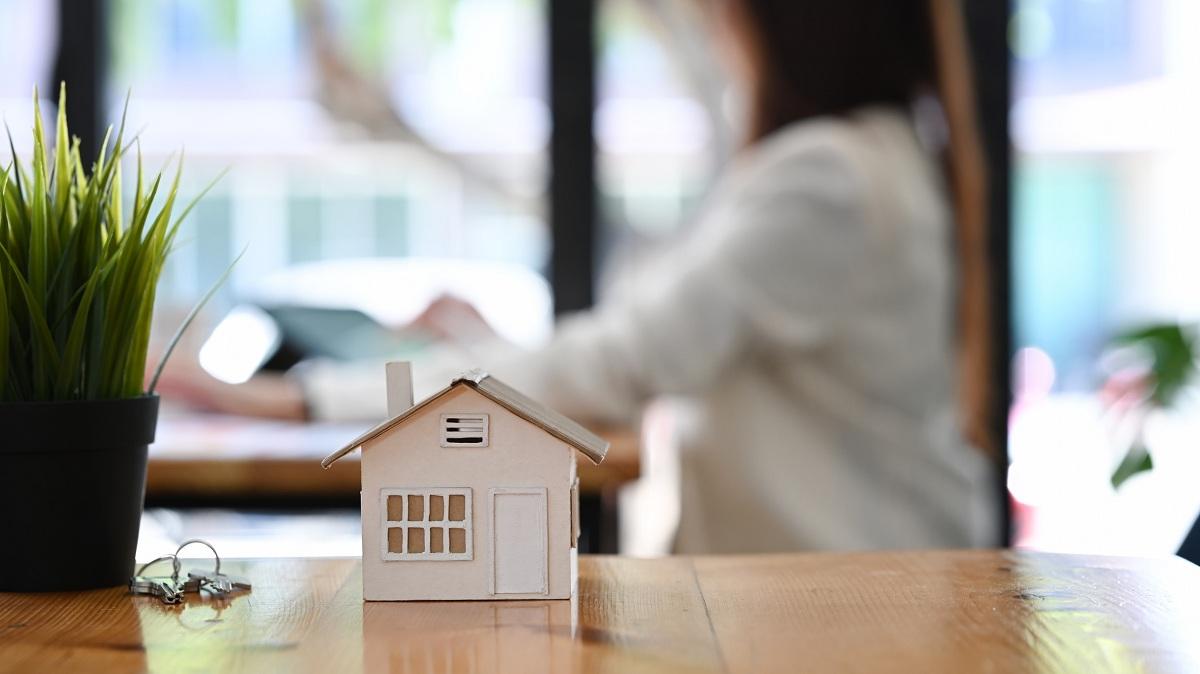 Small house model, keys, and a houseplant on wooden table