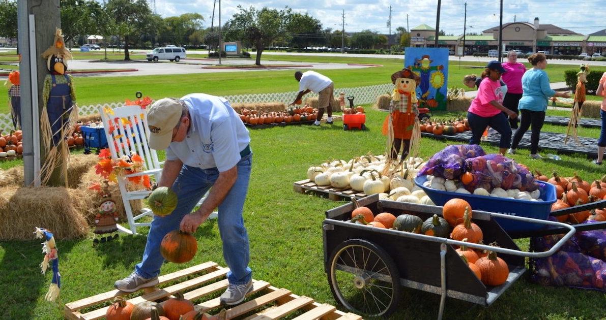 free pumpkin patch houston