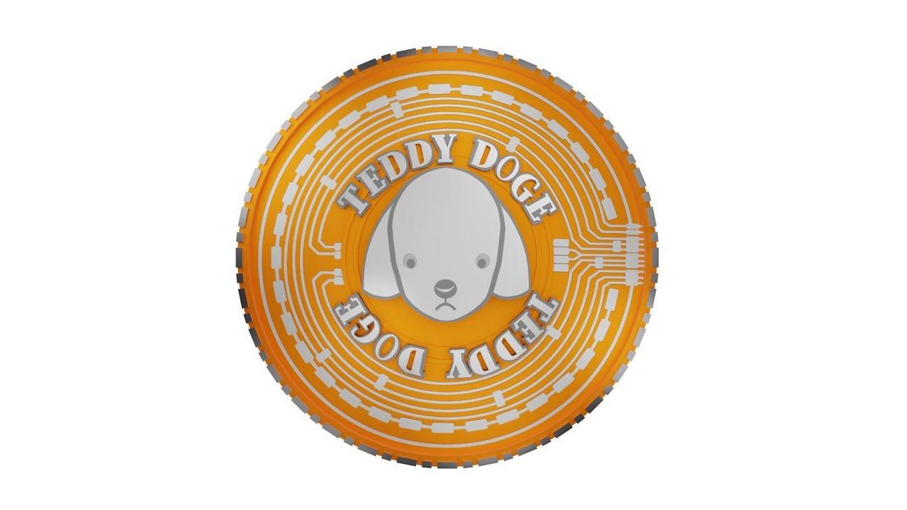 teddy doge coin