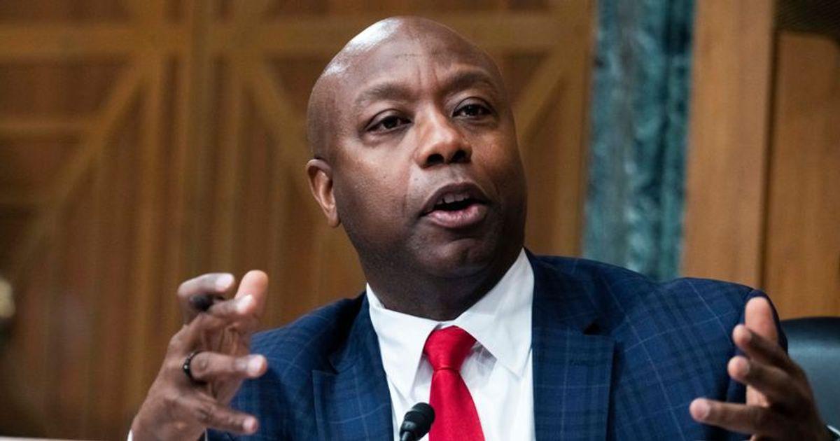 pn//uploads/ed fab ed  feedf__