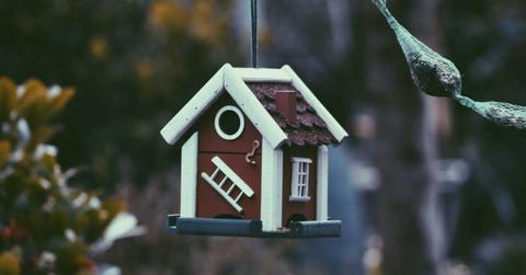 pn//uploads/adabe e ee a adbe__