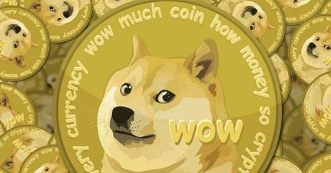 Dogecoin coin