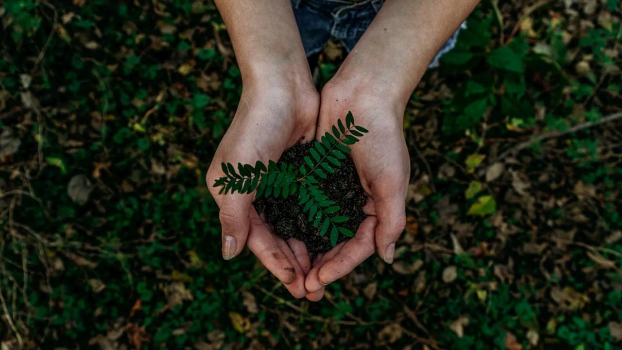 biodegradable plastic environment future