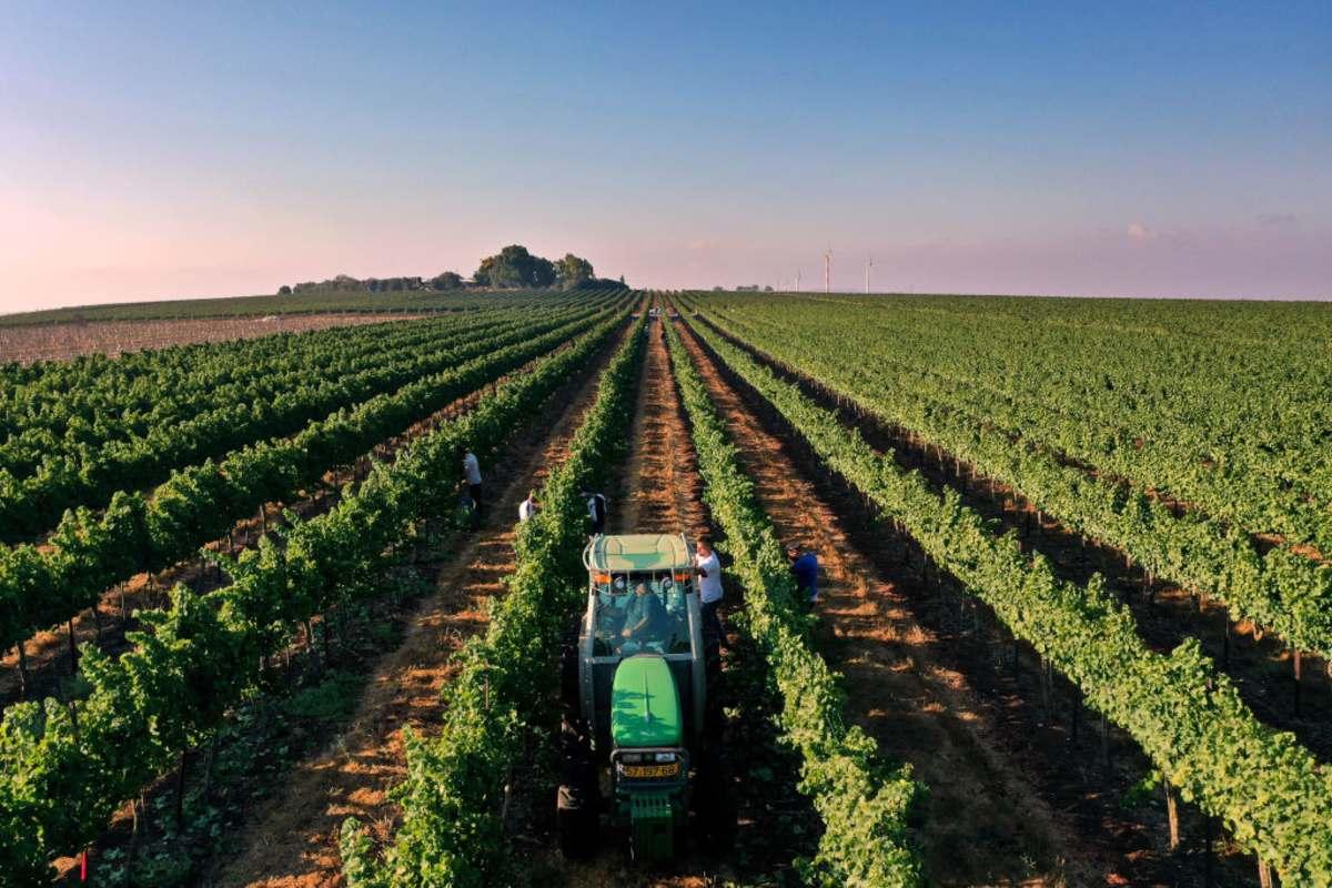 pn/ffdeb ffb  efc edffdd