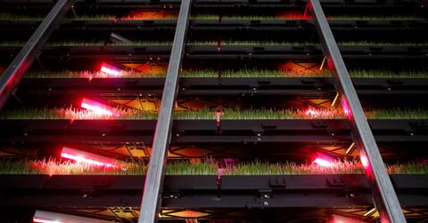 A vertical farm