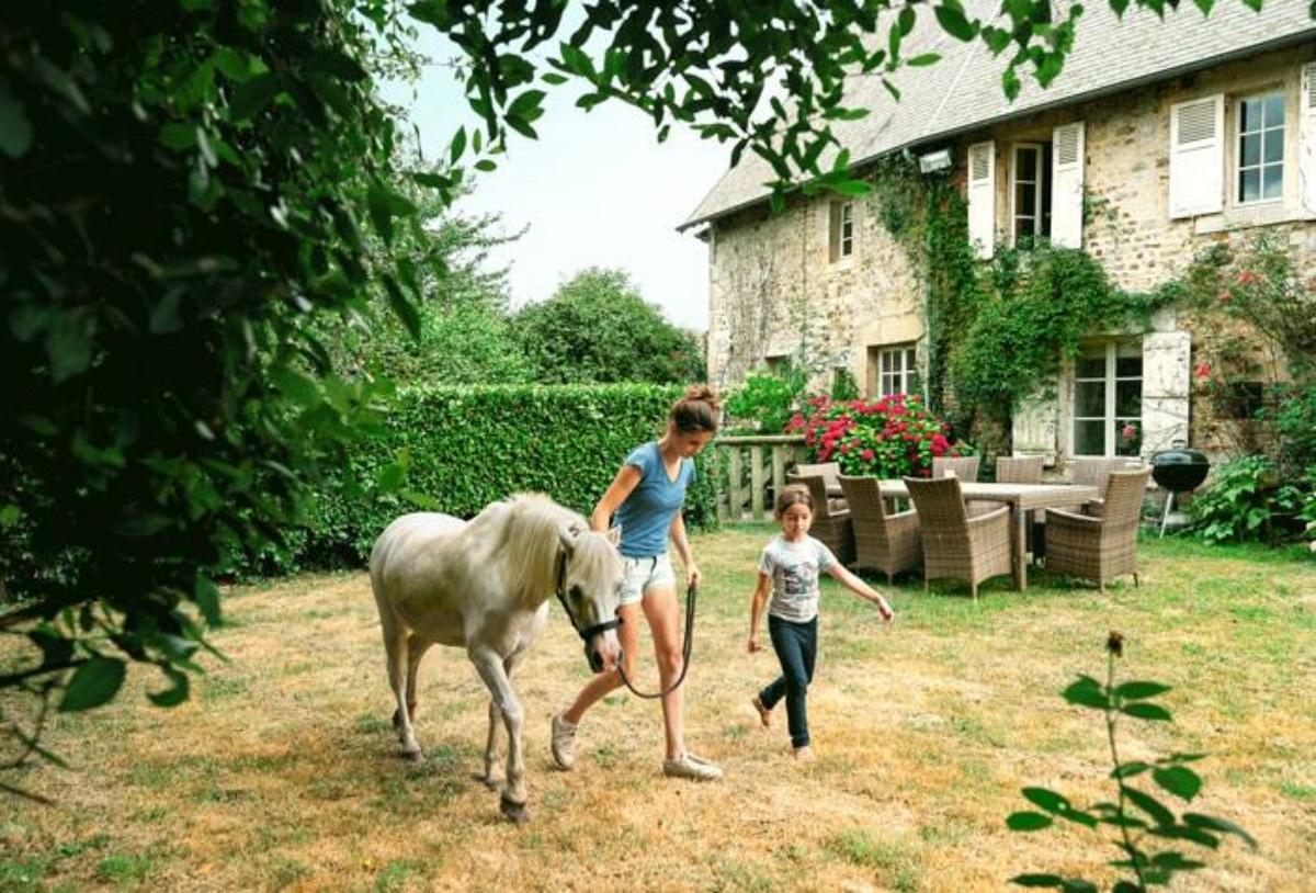 A woman, young girl, and a horse at an working farm Airbnb.