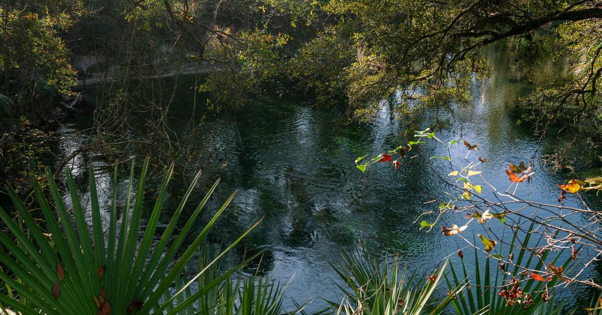 Blue Springs State Park