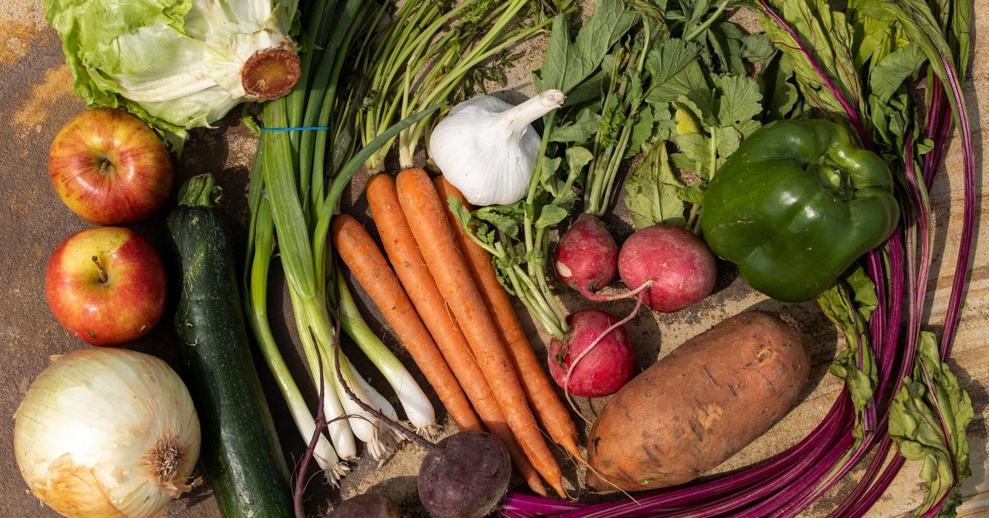 Best Vertical Farming Stocks in 2022 for the Agricultural Shift