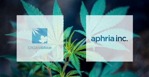 Cannabis plant with OrganiGram and Aphria logos