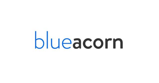 blue acorn ppp status